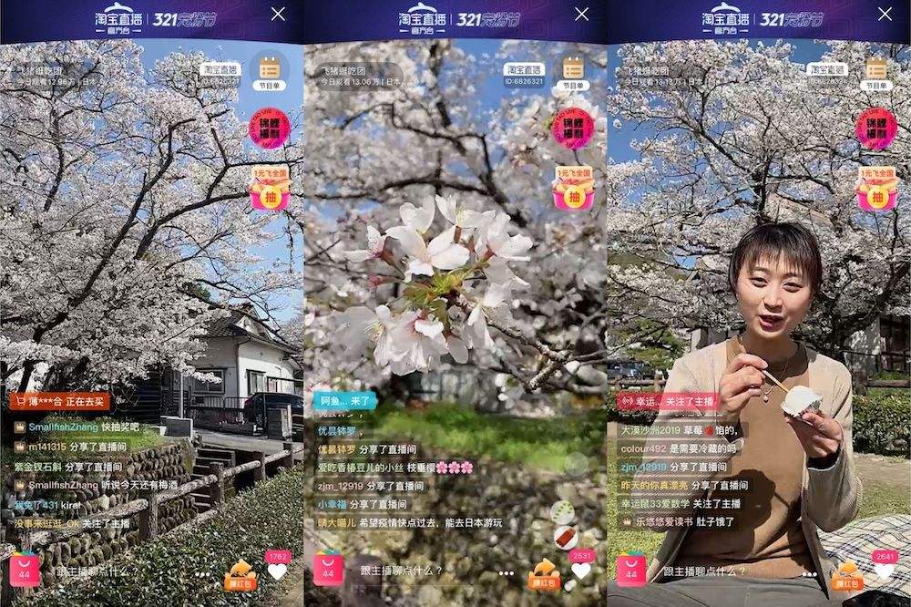アリババの旅行サービス「フリギー」、日本各地の桜名所を巡る「桜バーチャル旅行」を実施