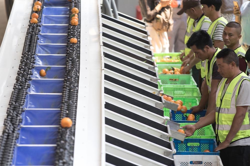 物流の力で中国奥地の農村を豊かに、貧困県支援に取り組む「菜鳥」